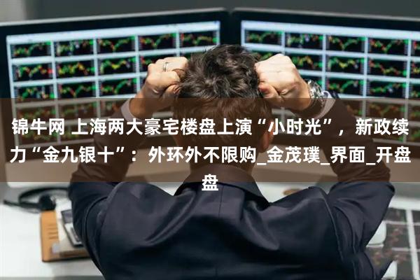 锦牛网 上海两大豪宅楼盘上演“小时光”，新政续力“金九银十”：外环外不限购_金茂璞_界面_开盘