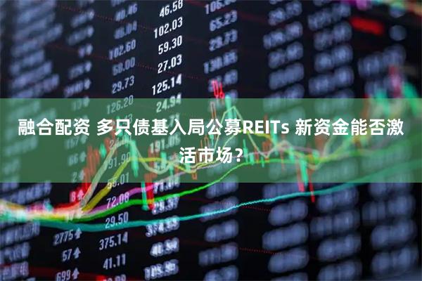 融合配资 多只债基入局公募REITs 新资金能否激活市场？